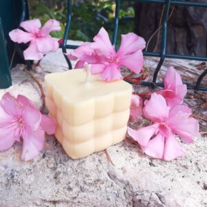 Bougie citronnelle Anti-Moustique